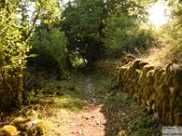 2025-08-13 Passo edll'Orso 020